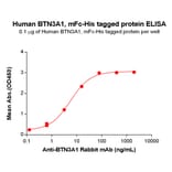 ELISA - Recombinant Human BTN3A1 Protein (Fc Chimera 6xHis Tag) (A318356) - Antibodies.com