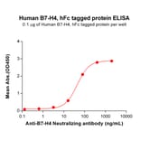 ELISA - Recombinant Human B7H4 Protein (Fc Tag) (A318359) - Antibodies.com