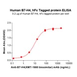 ELISA - Recombinant Human B7H4 Protein (Fc Tag) (A318359) - Antibodies.com