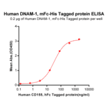 ELISA - Recombinant Human CD226 Protein (Fc Chimera 6xHis Tag) (A318360) - Antibodies.com