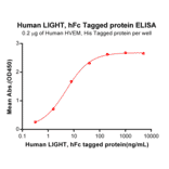 ELISA - Recombinant Human LIGHT/TNFSF14 Protein (Fc Tag) (A318361) - Antibodies.com