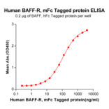 ELISA - Recombinant Human BAFF-R Protein (Fc Tag) (A318366) - Antibodies.com