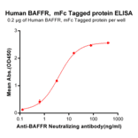 ELISA - Recombinant Human BAFF-R Protein (Fc Tag) (A318366) - Antibodies.com