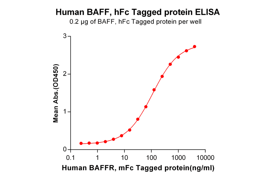 ELISA - Recombinant Human BAFF Protein (Fc Tag) (A318367) - Antibodies.com