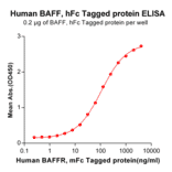 ELISA - Recombinant Human BAFF Protein (Fc Tag) (A318367) - Antibodies.com