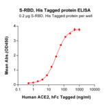 ELISA - Recombinant SARS-CoV-2 Spike Glycoprotein RBD Protein (6×His Tag) (A318372) - Antibodies.com