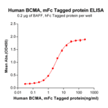 ELISA - Recombinant Human BCMA Protein (Fc Tag) (A318373) - Antibodies.com