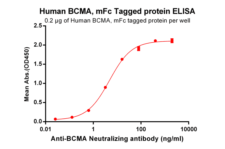 ELISA - Recombinant Human BCMA Protein (Fc Tag) (A318373) - Antibodies.com