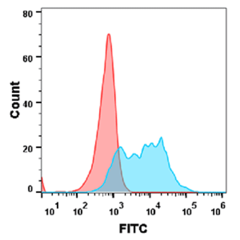 Flow Cytometry - Recombinant Human BCMA Protein (Fc Tag) (A318373) - Antibodies.com