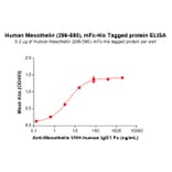ELISA - Recombinant Human Mesothelin Protein (Fc Chimera 6xHis Tag) (A318377) - Antibodies.com