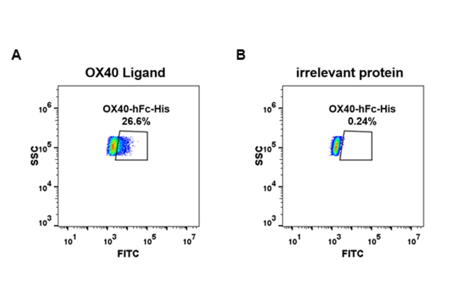 Flow Cytometry - Recombinant Human CD134/OX40L Receptor Protein (Fc Chimera 6xHis Tag) (A318386) - Antibodies.com