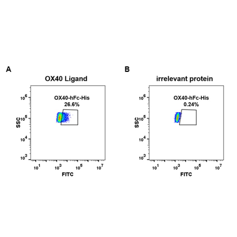 Flow Cytometry - Recombinant Human CD134/OX40L Receptor Protein (Fc Chimera 6xHis Tag) (A318386) - Antibodies.com