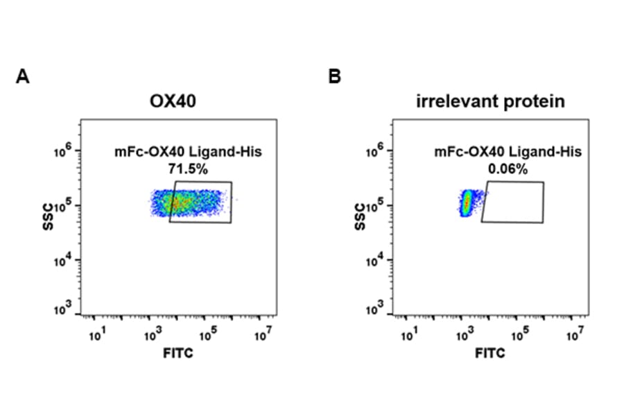 Flow Cytometry - Recombinant Human OX40L/TNFSF4 Protein (Fc Tag & 6×His Tag) (A318387) - Antibodies.com
