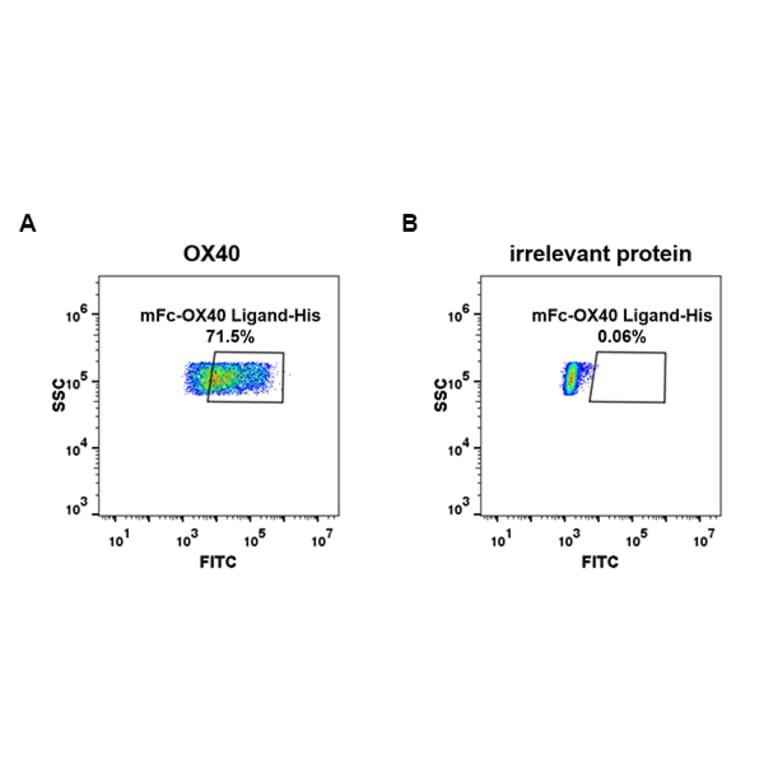 Flow Cytometry - Recombinant Human OX40L/TNFSF4 Protein (Fc Tag & 6×His Tag) (A318387) - Antibodies.com