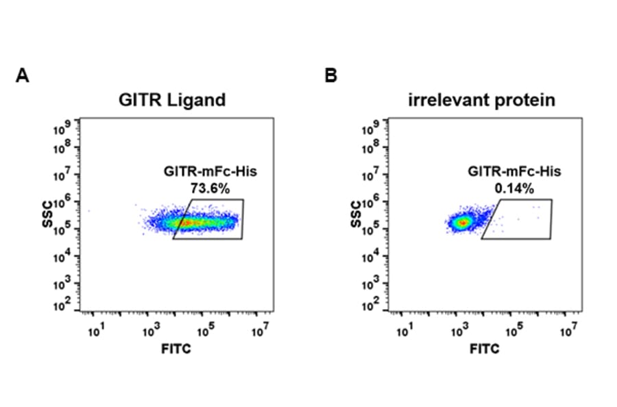 Flow Cytometry - Recombinant Human GITR Protein (Fc Chimera 6xHis Tag) (A318389) - Antibodies.com