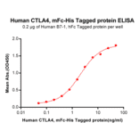 ELISA - Recombinant Human CTLA4 Protein (Fc Chimera 6xHis Tag) (A318391) - Antibodies.com