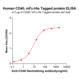 ELISA - Recombinant Human CD40 Protein (Fc Chimera 6xHis Tag) (A318393) - Antibodies.com