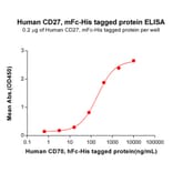 ELISA - Recombinant Human CD27 Protein (Fc Chimera 6xHis Tag) (A318395) - Antibodies.com