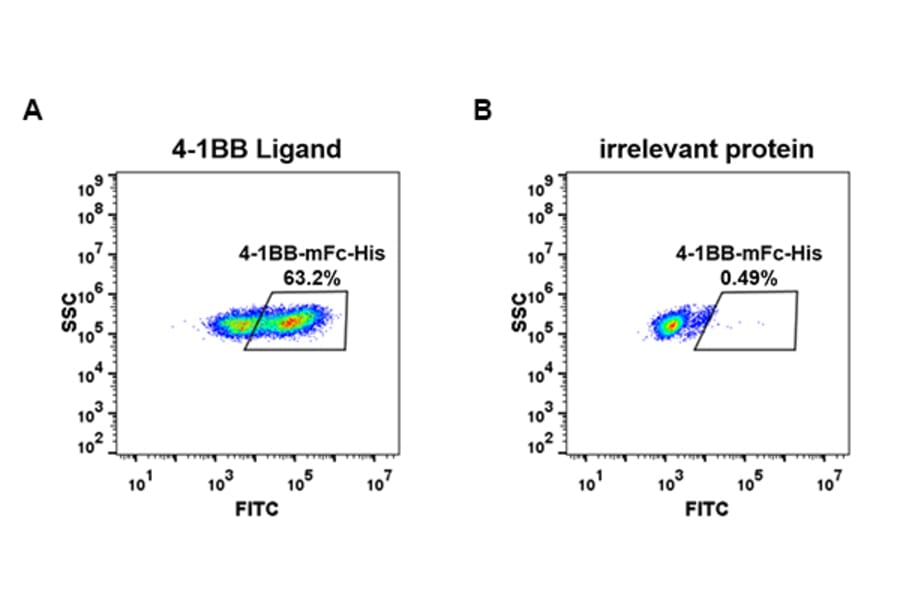 Flow Cytometry - Recombinant Human CD137 Protein (Fc Chimera 6xHis Tag) (A318397) - Antibodies.com