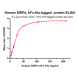 ELISA - Recombinant Human SIRP alpha Protein (Fc Chimera 6xHis Tag) (A318399) - Antibodies.com