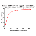 ELISA - Recombinant Human CD47 Protein (Fc Chimera 6xHis Tag) (A318400) - Antibodies.com