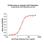 ELISA - Synthetic Nanodisc Human Caveolin 1 Protein (A318414) - Antibodies.com