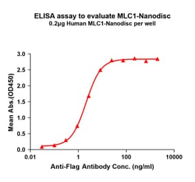ELISA - Synthetic Nanodisc Human MLC1 Protein (A318424) - Antibodies.com