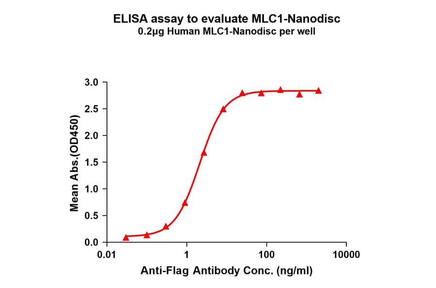 ELISA - Synthetic Nanodisc Human MLC1 Protein (A318424) - Antibodies.com