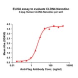 ELISA - Synthetic Nanodisc Human Claudin 4 Protein (A318427) - Antibodies.com