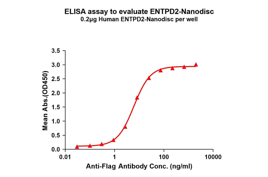 ELISA - Synthetic Nanodisc Human ENTPD2 Protein (A318449) - Antibodies.com