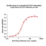 ELISA - Synthetic Nanodisc Human xCT Protein (A318452) - Antibodies.com