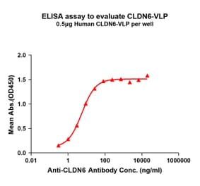 ELISA - Synthetic Virus-like Particle Human Claudin 6 Protein (A318460) - Antibodies.com