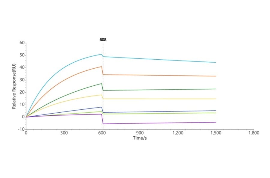 SPR Assay - Synthetic Nanodisc Human CCR8 Protein (A318461) - Antibodies.com