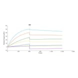 SPR Assay - Synthetic Nanodisc Human CCR8 Protein (A318461) - Antibodies.com
