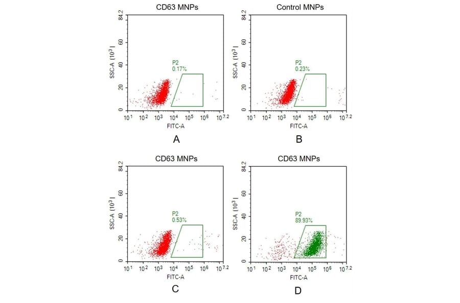 FACS - Synthetic Membrane Nanoparticle Human CD63 Protein (A318464) - Antibodies.com