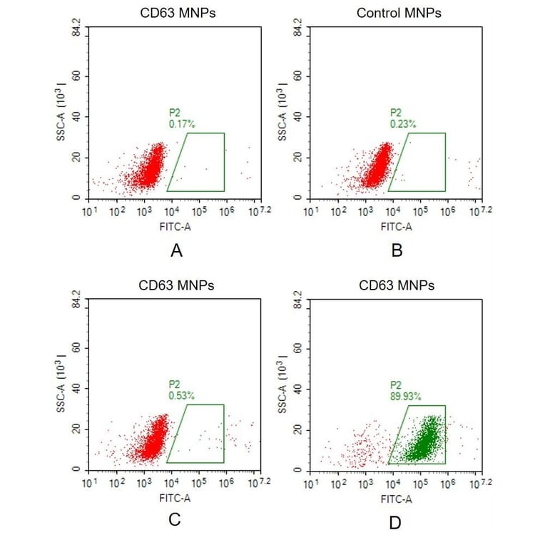 FACS - Synthetic Membrane Nanoparticle Human CD63 Protein (A318464) - Antibodies.com