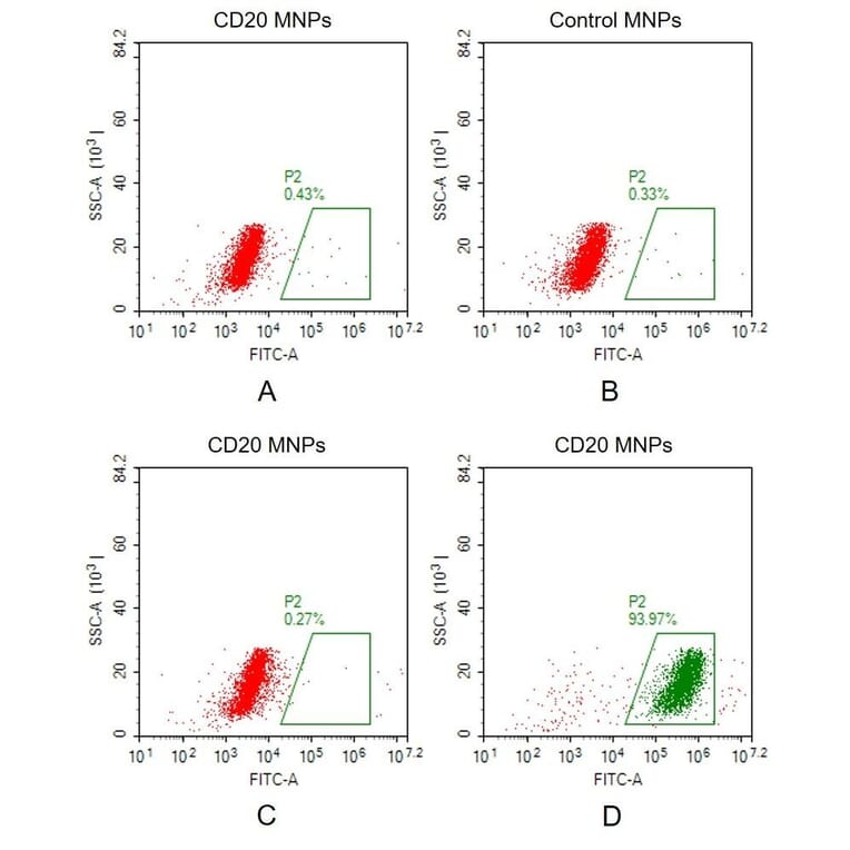 FACS - Synthetic Membrane Nanoparticle Human CD20 Protein (A318472) - Antibodies.com