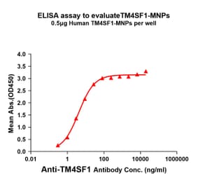 ELISA - Synthetic Membrane Nanoparticle Human Transmembrane 4 L6 Family Member 1 Protein (A318477) - Antibodies.com
