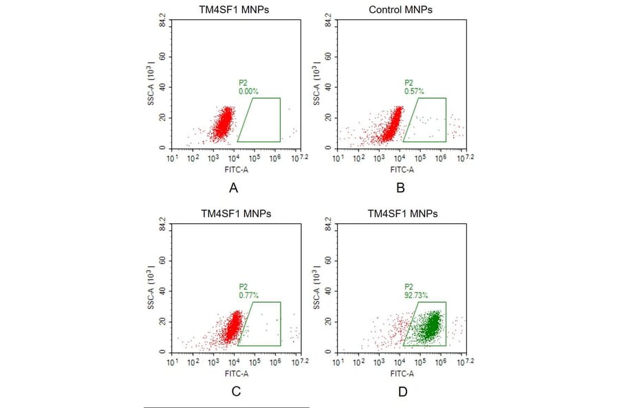 FACS - Synthetic Membrane Nanoparticle Human Transmembrane 4 L6 Family Member 1 Protein (A318477) - Antibodies.com