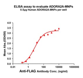 ELISA - Synthetic Membrane Nanoparticle Human Adenosine Receptor A2a Protein (A318479) - Antibodies.com