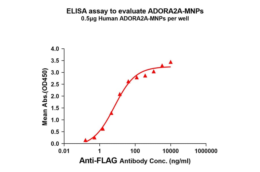 ELISA - Synthetic Membrane Nanoparticle Human Adenosine Receptor A2a Protein (A318479) - Antibodies.com