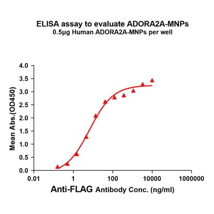 ELISA - Synthetic Membrane Nanoparticle Human Adenosine Receptor A2a Protein (A318479) - Antibodies.com