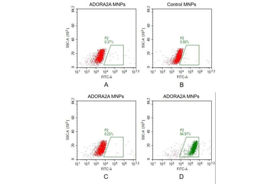 FACS - Synthetic Membrane Nanoparticle Human Adenosine Receptor A2a Protein (A318479) - Antibodies.com