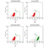 FACS - Synthetic Membrane Nanoparticle Human Adenosine Receptor A2a Protein (A318479) - Antibodies.com