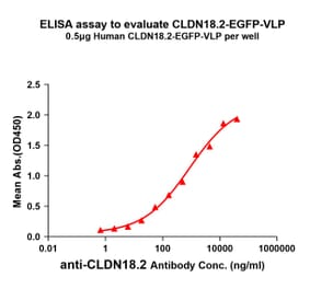ELISA - Synthetic Virus-like Particle Human Claudin18.2 Protein (EGFP Tag) (A318480) - Antibodies.com