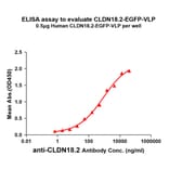 ELISA - Synthetic Virus-like Particle Human Claudin18.2 Protein (EGFP Tag) (A318480) - Antibodies.com