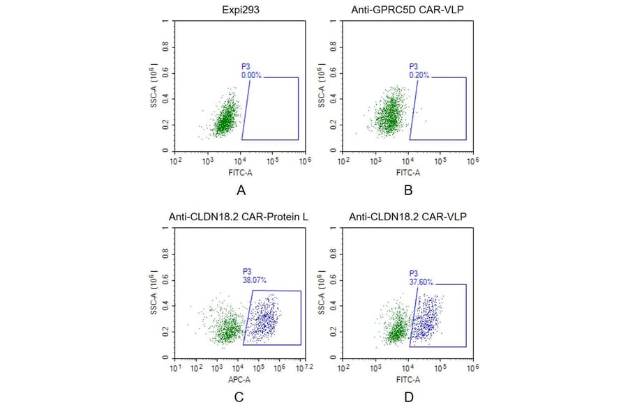 FACS - Synthetic Virus-like Particle Human Claudin18.2 Protein (EGFP Tag) (A318480) - Antibodies.com