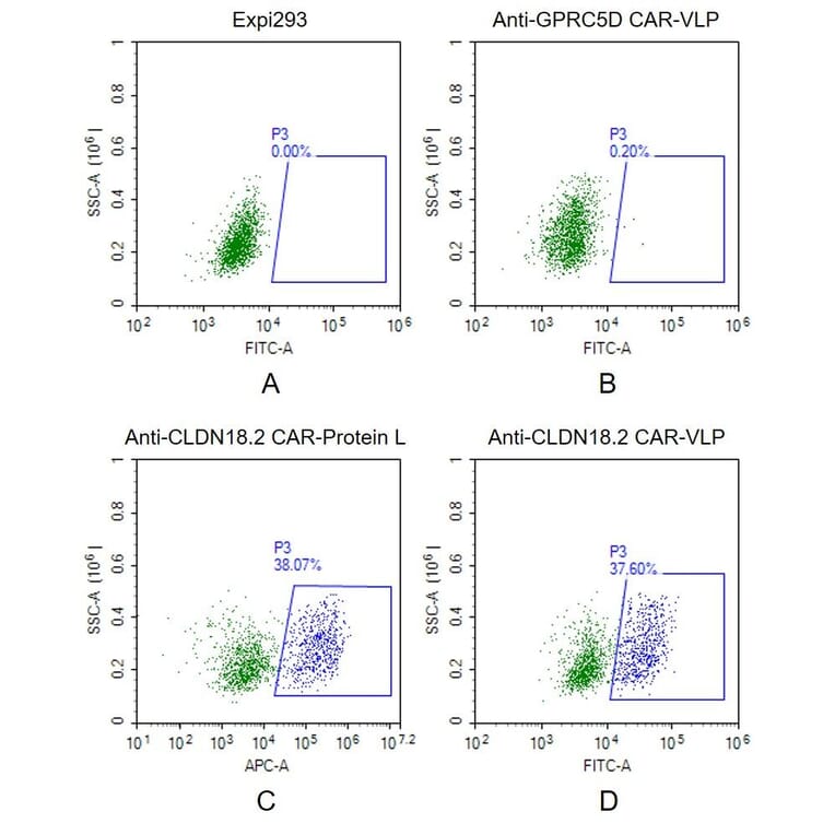 FACS - Synthetic Virus-like Particle Human Claudin18.2 Protein (EGFP Tag) (A318480) - Antibodies.com