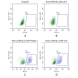 FACS - Synthetic Virus-like Particle Human Claudin18.2 Protein (EGFP Tag) (A318480) - Antibodies.com