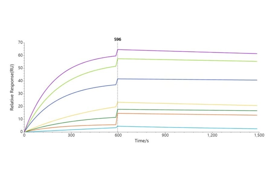 SPR Assay - Synthetic Nanodisc Human TLR4 Protein (A318415) - Antibodies.com